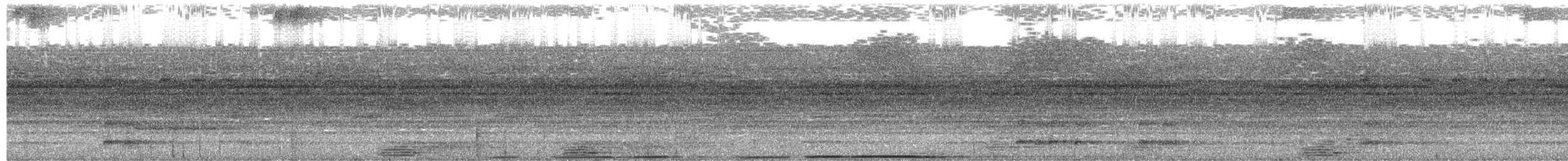 Nocturnal Curassow - ML655072342