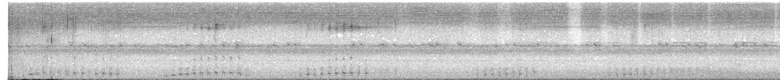 Neuhollandeule - ML655072993