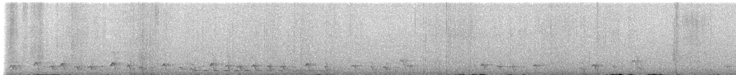 Elf Owl - ML655073730