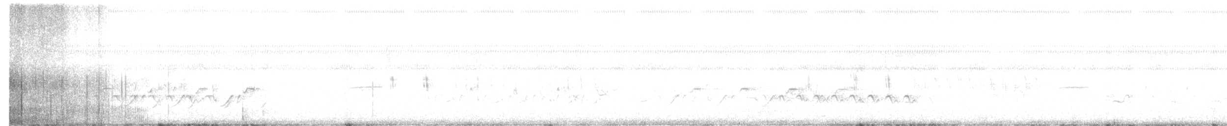 Troglodyte à bec court - ML655077452