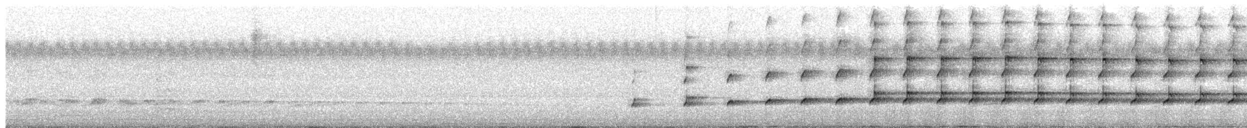 Indian Thick-knee - ML655080081