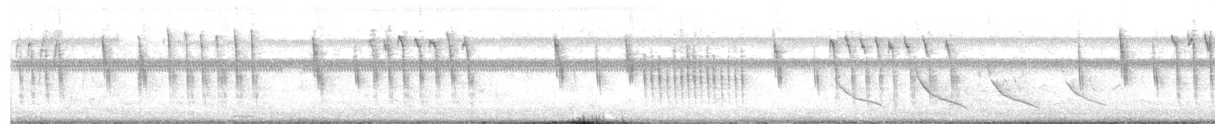 Troglodyte à bec court - ML655091262