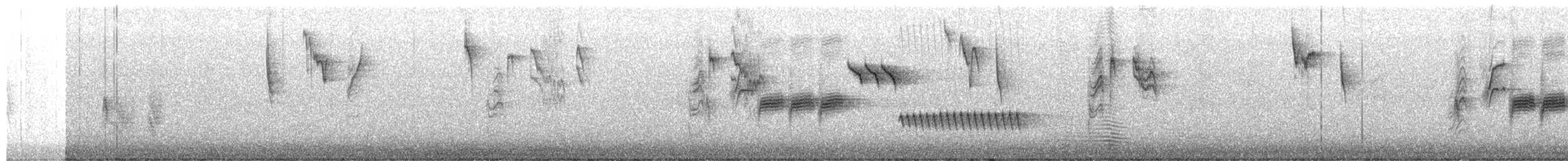 Bewick's Wren - ML655098410