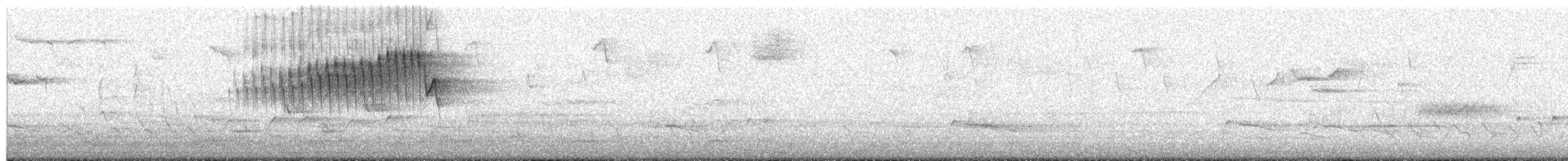 Northern Parula - ML655100561