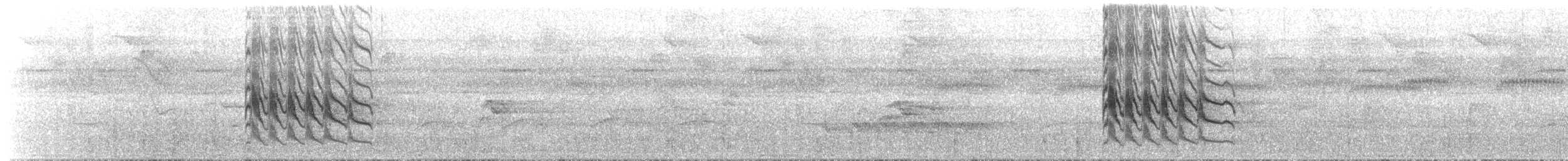 Boat-billed Flycatcher (Tumbes) - ML65510891