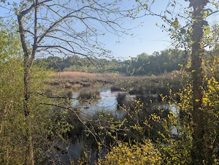 WB&A Trail--Horsepen Branch (PG Co.), Prince George's, Maryland, United ...