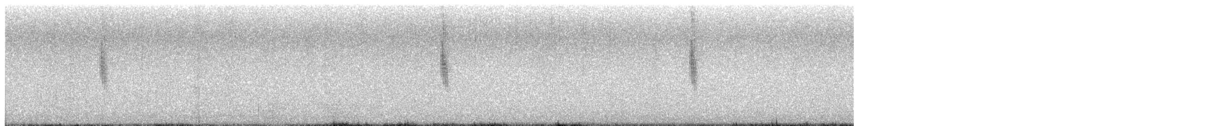 Troglodyte à bec court - ML655130873