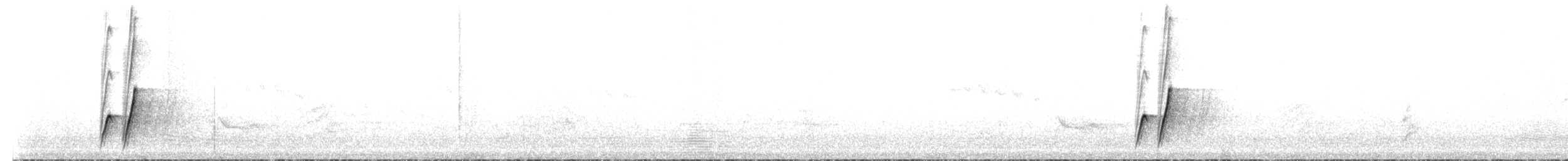 Krummschnabel-Spottdrossel [palmeri-Gruppe] - ML65516551