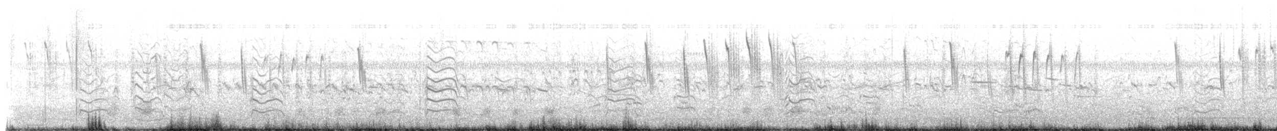 Troglodyte à bec court - ML655175923