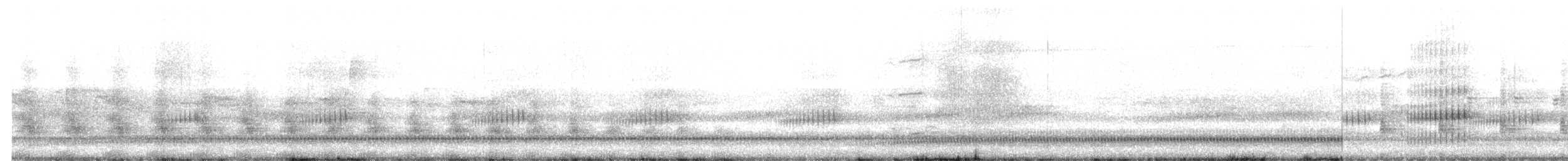 Râle de Virginie - ML655178180