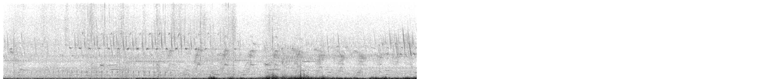 Râle de Virginie - ML655191095