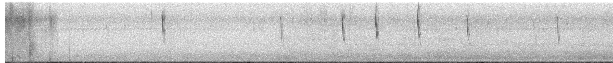 Troglodyte à bec court - ML655191495
