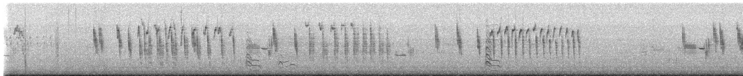 Troglodyte à bec court - ML655194628