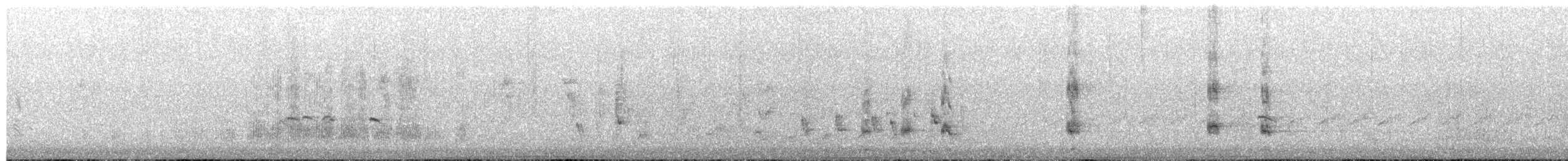 Wanderpfeifgans - ML655213161