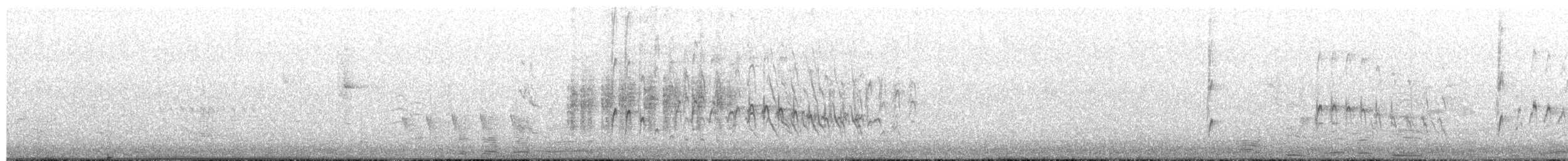 Wanderpfeifgans - ML655213277