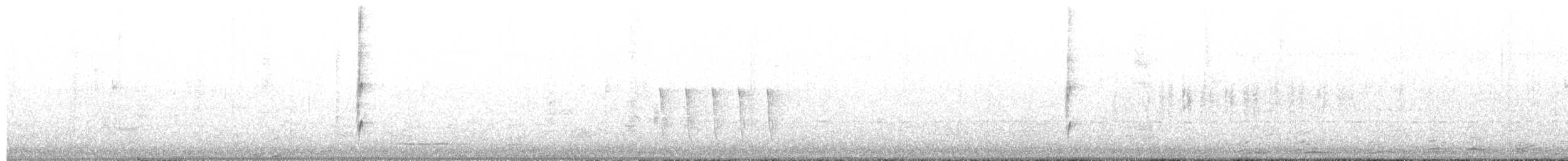 Wanderpfeifgans - ML655213527