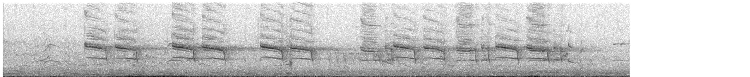 Stelzenmonarch - ML655213833