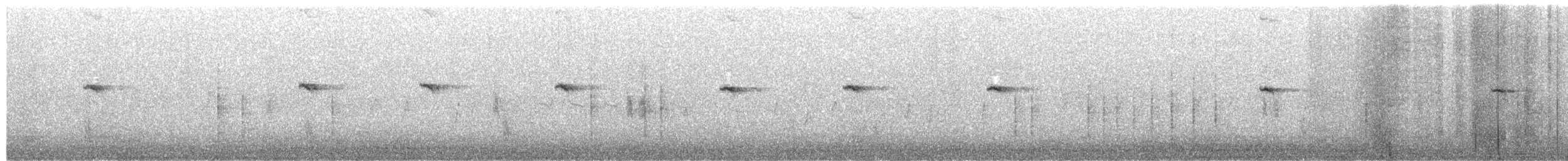 Spiegelrotschwanz - ML655218572