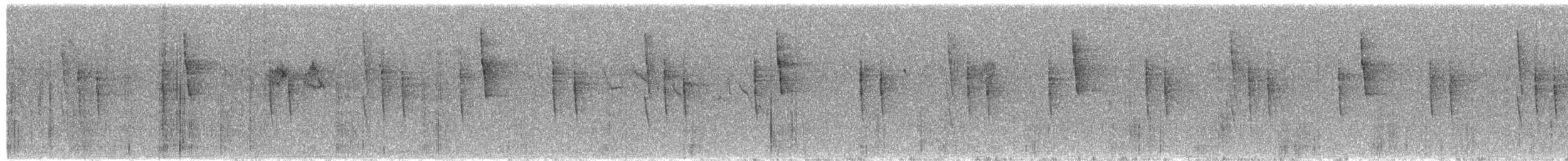 Mexican Violetear - ML655219629