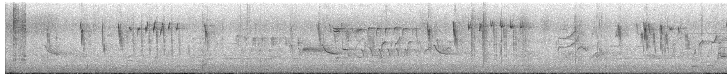 Troglodyte à bec court - ML655223290