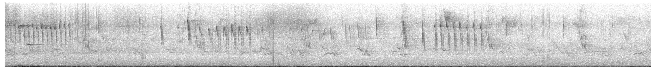 Troglodyte à bec court - ML655223291