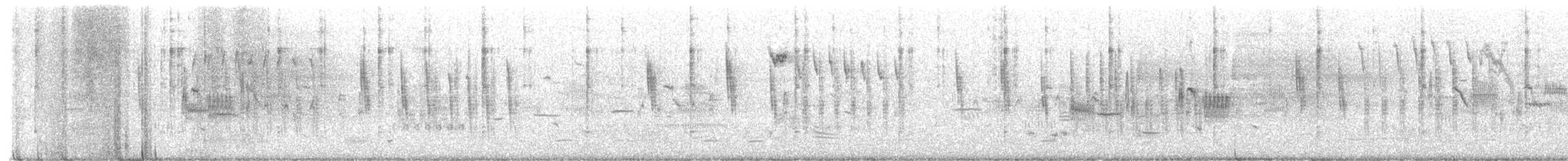 Troglodyte à bec court - ML655224247