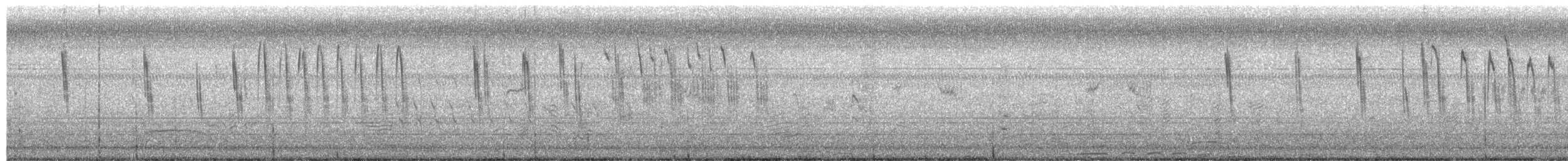 Troglodyte à bec court - ML655232957