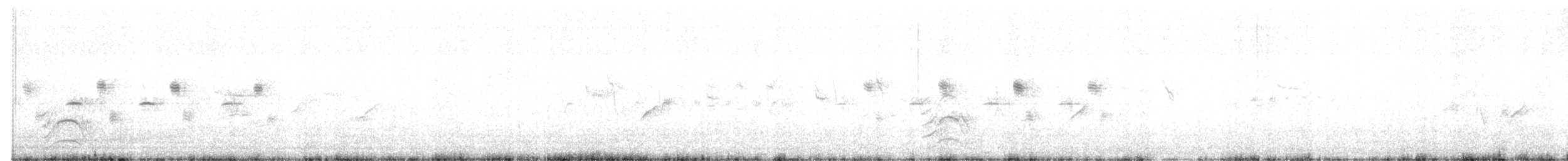 Western Marsh Harrier - ML655245734