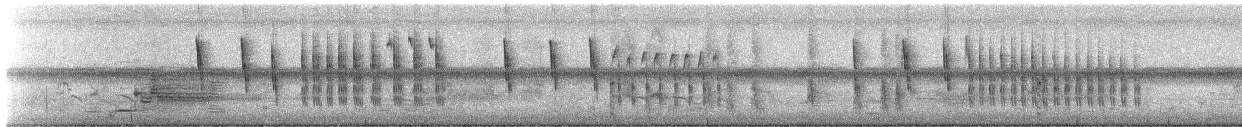 Troglodyte à bec court - ML655246634