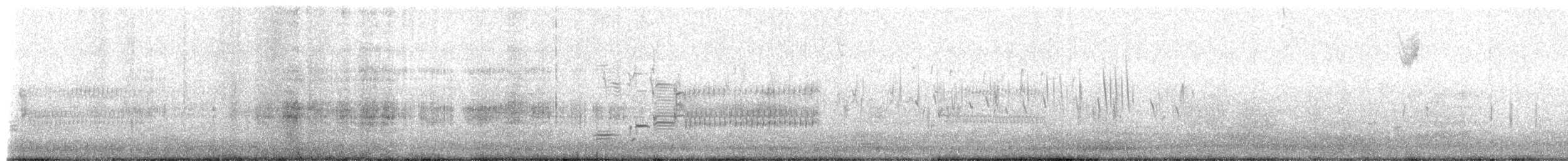 Troglodyte à bec court - ML655247604