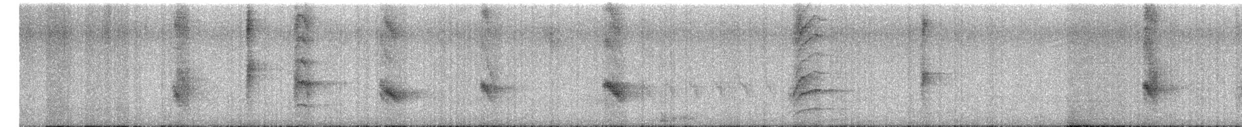 Variable Oriole