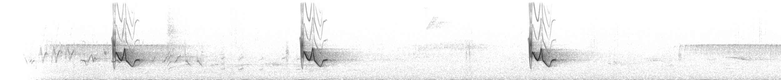 Blue-headed Vireo - ML655278492