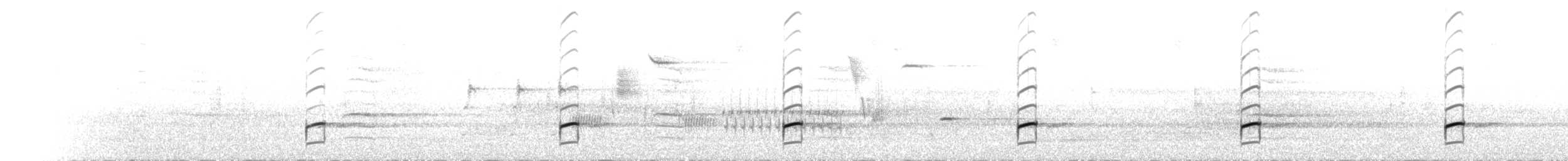 Spring Peeper - ML655278587