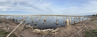 Chatfield SP--Catfish Flats, Jefferson, Colorado, United States - eBird ...