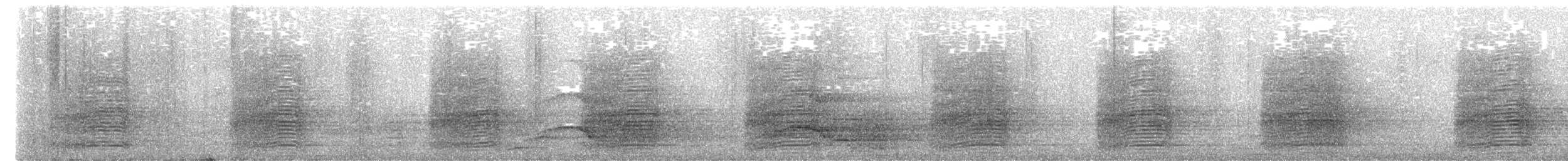 Cacatoès funèbre - ML655290771