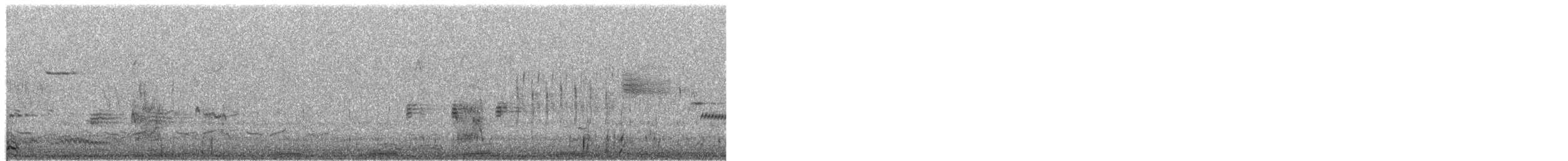 Double-crested Cormorant - ML655302045