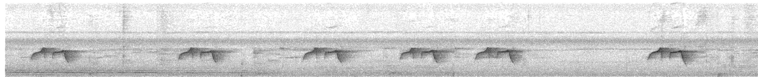 Dot-backed Antbird - ML655302946