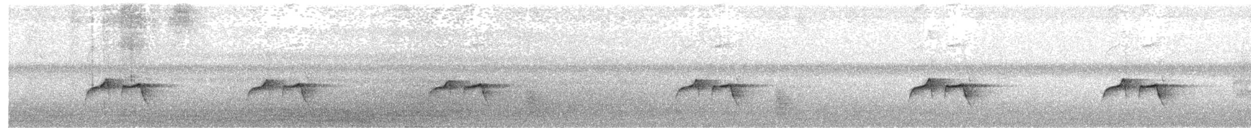 Dot-backed Antbird - ML655302947