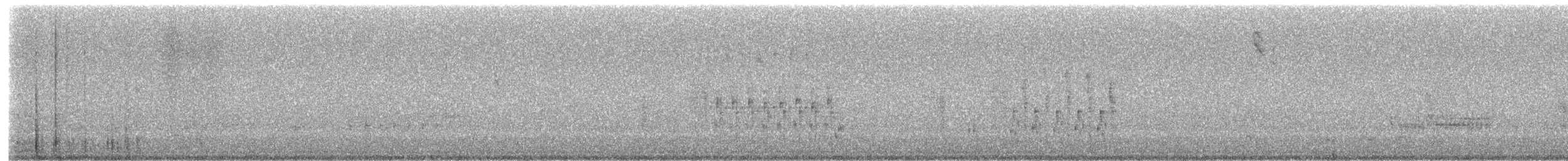 Zingira-txepetxa - ML655306099