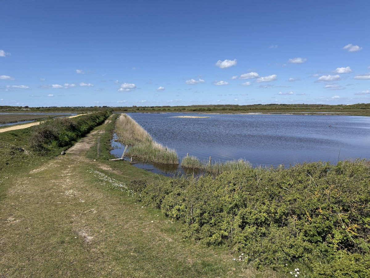 null - ML655314828