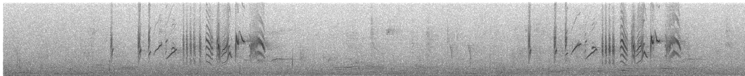 Viuda Senegalesa - ML655321438