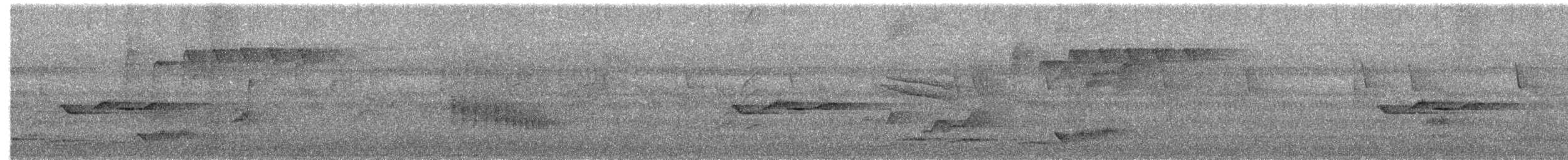 Papamoscas Cabecigrís - ML655321564