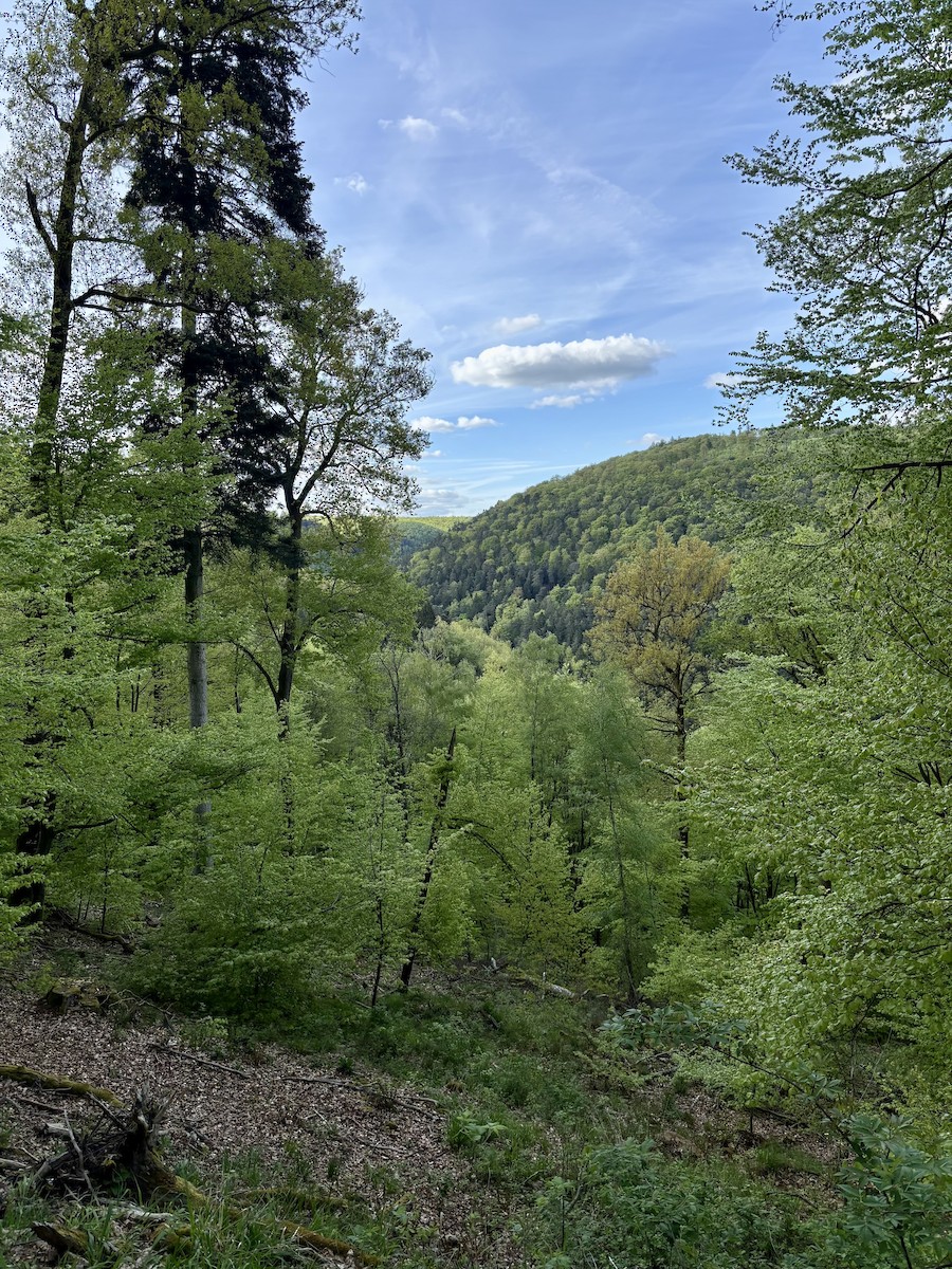 null - ML655325342