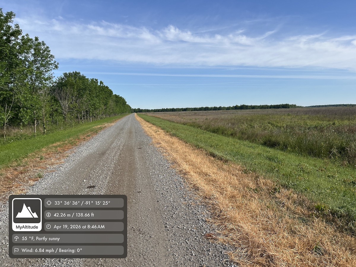 null - ML655351988