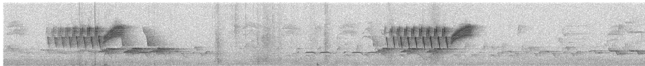 Northern Parula - ML655357893