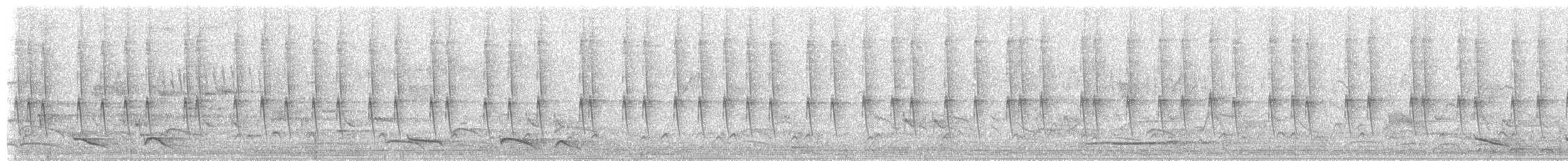 Wedge-tailed Sabrewing (Curve-winged) - ML655373425
