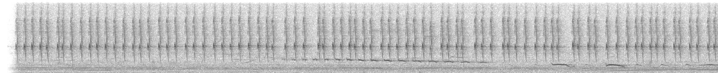 Wedge-tailed Sabrewing (Curve-winged) - ML655373427