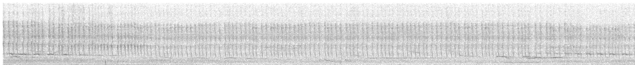 Wedge-tailed Sabrewing (Curve-winged) - ML655373428