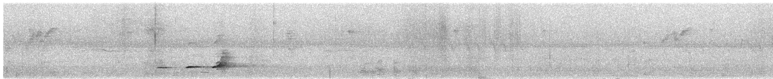 Spot-bellied Bobwhite - ML655391351