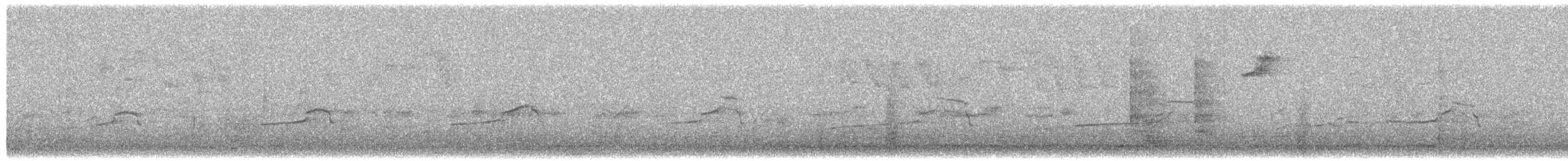 Buteo, unbestimmt - ML655392862